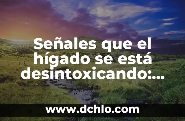 ¿En qué parte del cuerpo está el hígado? 3 Señales que el hígado se está desintoxicando: ¿Cómo saber si tu cuerpo está limpiándose?