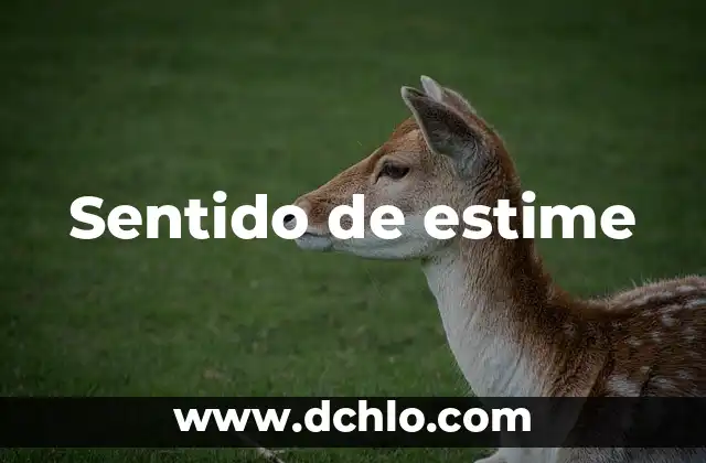 El Sentido Emocional del Embarazo Ectópico 7 Sentido de estime