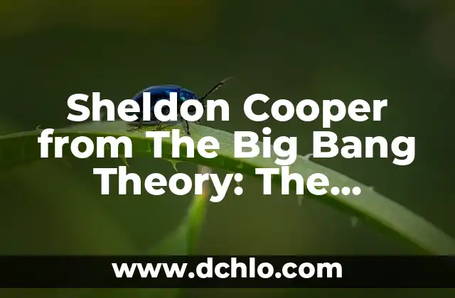 El Enigmático Personaje de Grogu en The Mandalorian 5 Sheldon Cooper from The Big Bang Theory: The Lovable Genius