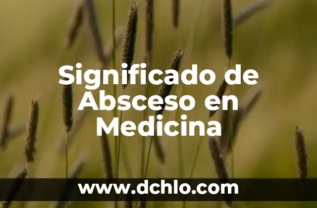 Cómo Drenar un Absceso en Casa de Forma Segura y Eficaz 3 Significado de Absceso en Medicina