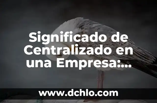 Significado de SAS en una Empresa: Todo lo que Necesitas Saber 8 Significado de Centralizado en una Empresa: Todo lo que Necesitas Saber