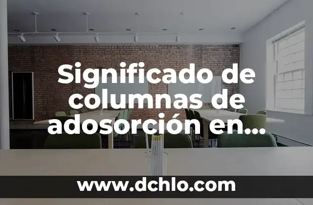Significado de columnas de adosorción en EBCT