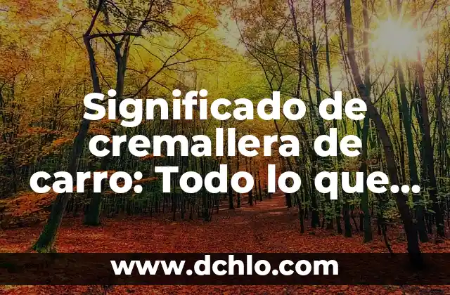 Sintomas de una piedra en la vesícula: ¿Qué debes saber? 5 Significado de cremallera de carro: Todo lo que debes saber