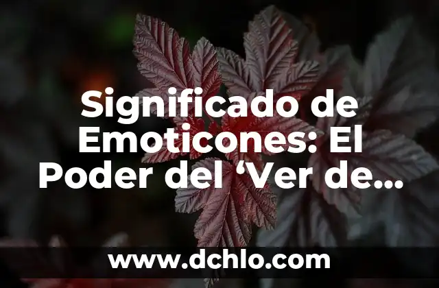 Significado de Sega en la División 7 Significado de Emoticones: El Poder del ‘Ver de Reojo’