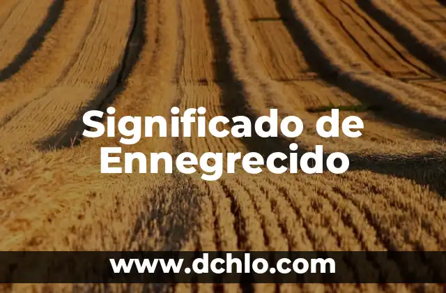 Entendiendo el Significado de Hocico 5 Significado de Ennegrecido