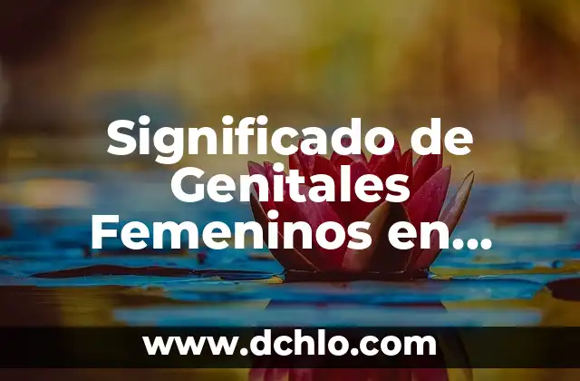 El Significado de Incognito en Latín 3 Significado de Genitales Femeninos en Latín