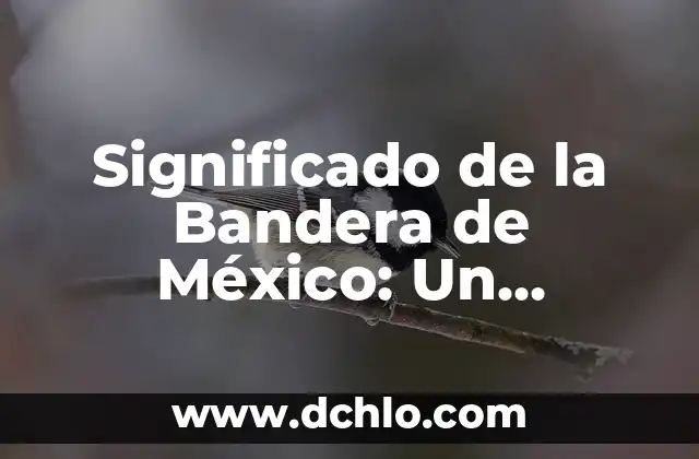 ¿Cuáles son las farmacias más baratas en México? 5 Significado de la Bandera de México: Un Símbolo Nacional