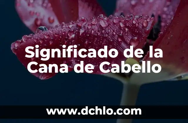 ¿Para qué sirve la linaza en el cabello? Aumenta el crecimiento y la salud capilar 4 Significado de la Cana de Cabello