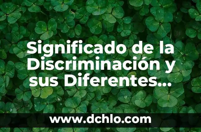 El Significado de Somática y Su Importancia en Diferentes Campos 4 Significado de la Discriminación y sus Diferentes Tipos