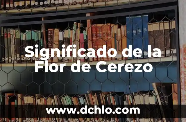 Significado de los Nombres de Países 3 Significado de la Flor de Cerezo