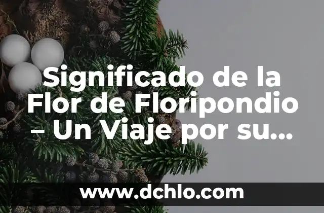 Significado de la Vestimenta de Oaxaca: Un Viaje a Través de su Historia y Cultura 4 Significado de la Flor de Floripondio – Un Viaje por su Importancia y Simbolismo