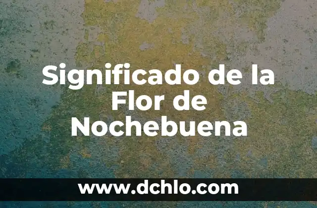 Significado de la Flor de Semperasuchil 3 Significado de la Flor de Nochebuena