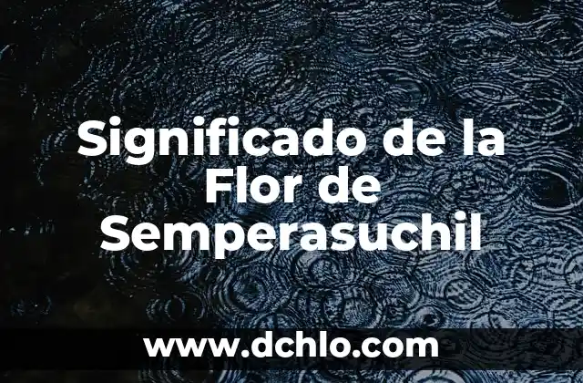 Significado de Sow: Descubre el Profundo Simbolismo Detrás de esta Acción 5 Significado de la Flor de Semperasuchil