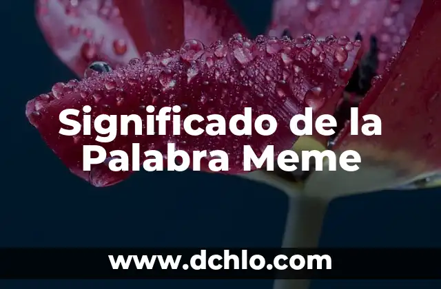 Significado de la palabra meow 6 Significado de la Palabra Meme
