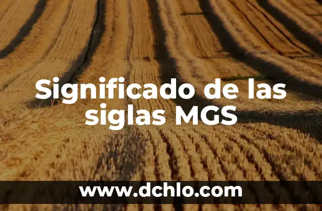MFS Significado de las Siglas 3 Significado de las siglas MGS