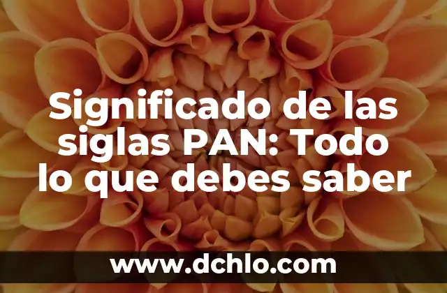 Pan significado de los colores 7 Significado de las siglas PAN: Todo lo que debes saber