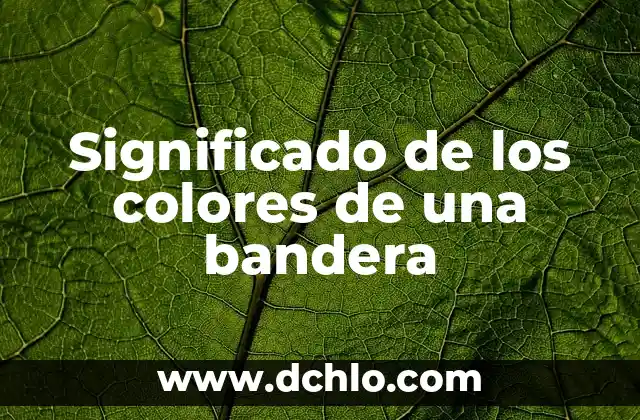 Significado de la Bandera de Argentina 4 Significado de los colores de una bandera