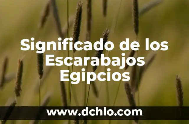 Significado de Grados Centigrados 3 Significado de los Escarabajos Egipcios