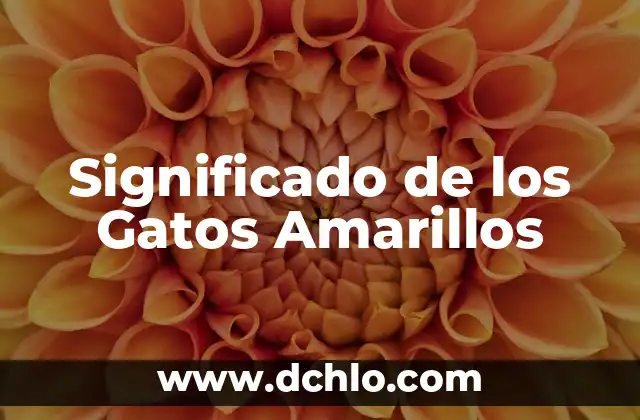 Significado de Grados Centigrados 5 Significado de los Gatos Amarillos