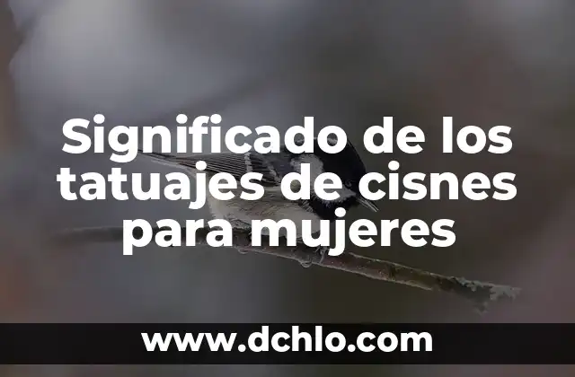 Tattoajes de Aves para Mujeres Significado 7 Significado de los tatuajes de cisnes para mujeres
