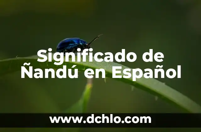 El Significado de Obtuvo y Su Uso en el Español 3 Significado de Ñandú en Español