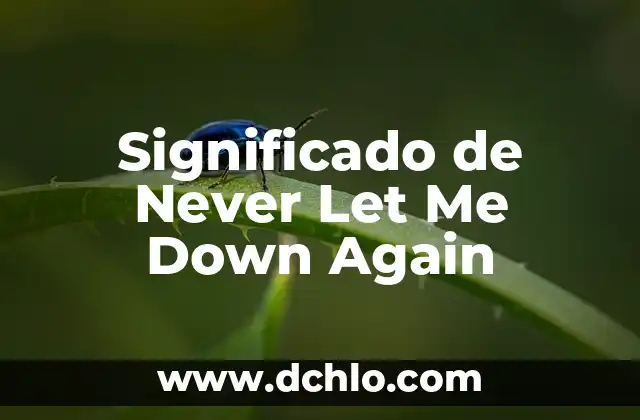 Cómo se escribe síndrome de Down: Guía completa y detallada 4 Significado de Never Let Me Down Again