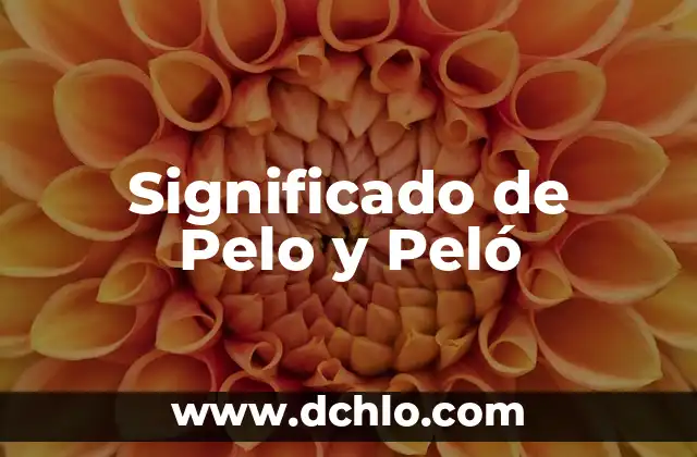 Careta significado de la canción - Gloria Trevi 4 Significado de Pelo y Peló