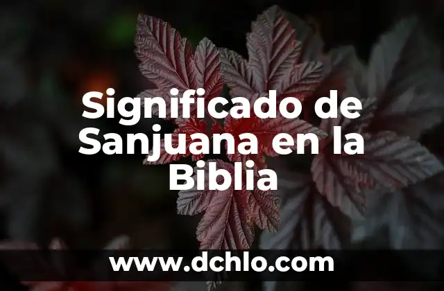 Holocausto significado de la Biblia 3 Significado de Sanjuana en la Biblia