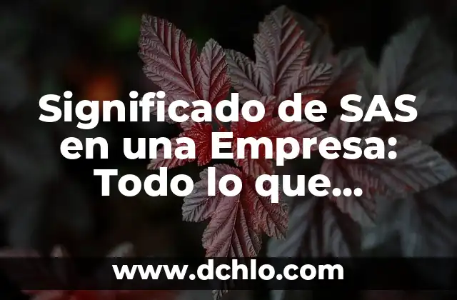 Como hacer un informe de mejora para una empresa 8 Significado de SAS en una Empresa: Todo lo que Necesitas Saber