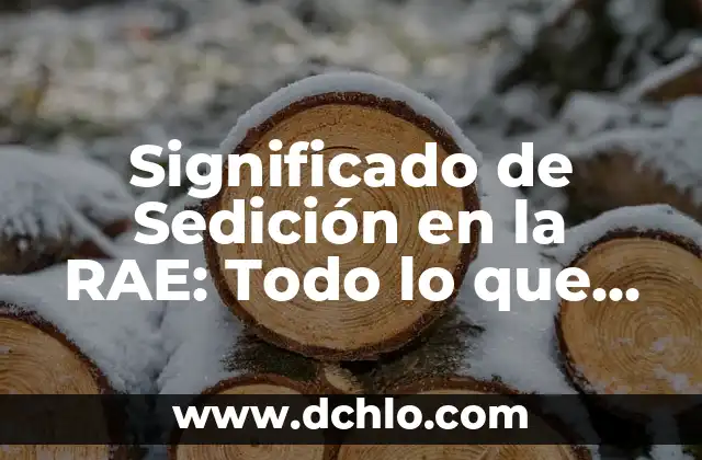 Significado de SAS en una Empresa: Todo lo que Necesitas Saber 5 Significado de Sedición en la RAE: Todo lo que Necesitas Saber