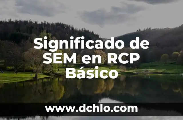 Cómo se Hace una Reanimación Cardiopulmonar (RCP): Guía Completa y Actualizada 3 Significado de SEM en RCP Básico