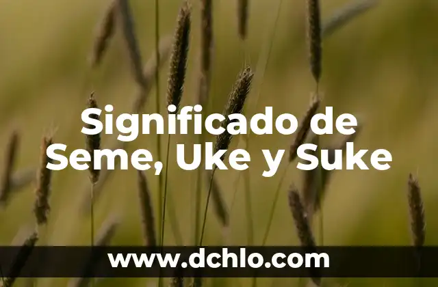 Significado de Uke y Seme: Un Análisis Detallado 3 Significado de Seme, Uke y Suke