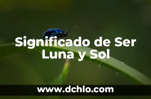 Hojas Electrónicas de Cálculo: Significado y Funcionalidades 6 Significado de Ser Luna y Sol