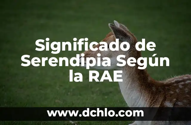 Significado de seguridad según algunos autores 3 Significado de Serendipia Según la RAE