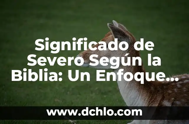Significado de seguridad según algunos autores 4 Significado de Severo Según la Biblia: Un Enfoque en la Severidad Divina