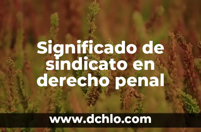 Significado de Siglas TCC en Derecho 5 Significado de sindicato en derecho penal