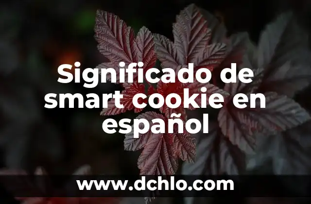 C贸mo hacer que una TV sea Smart TV 4 Significado de smart cookie en espa帽ol