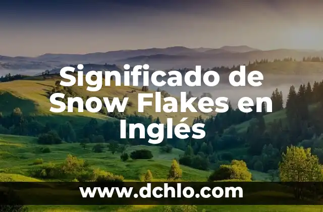 Como Hacer Un Email En Inglés 7 Significado de Snow Flakes en Inglés