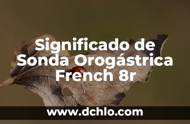 Significado de Sonda 3 Significado de Sonda Orogástrica French 8r