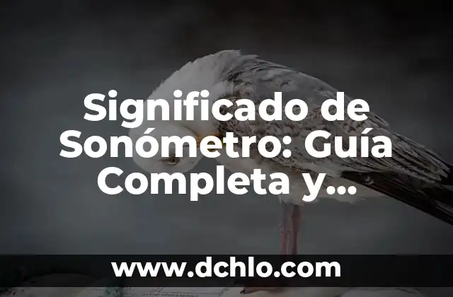 Investigar el Significado de Determiners: Guía Completa y Detallada 6 Significado de Sonómetro: Guía Completa y Detallada