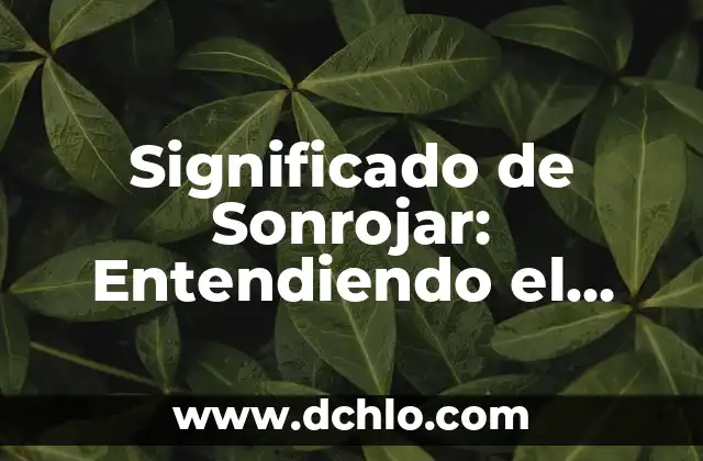 Entendiendo HTTPS y Transferencias Bancarias 3 Significado de Sonrojar: Entendiendo el Rubor
