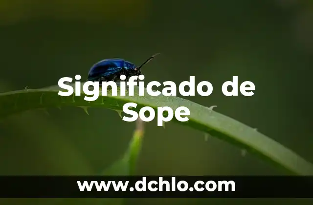 Significado de Sonreír 5 Significado de Sope