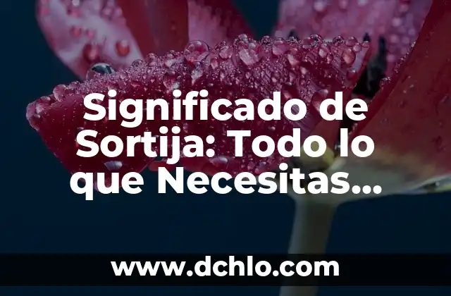 El Significado de SOS: Un Grito de Auxilio con Historia 6 Significado de Sortija: Todo lo que Necesitas Saber