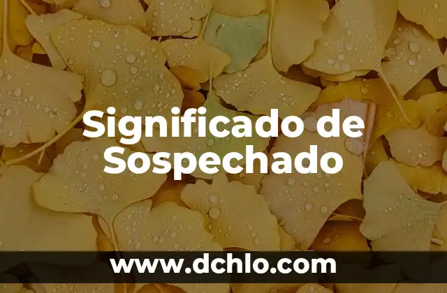 Significado de la Bandera de Japón 4 Significado de Sospechado