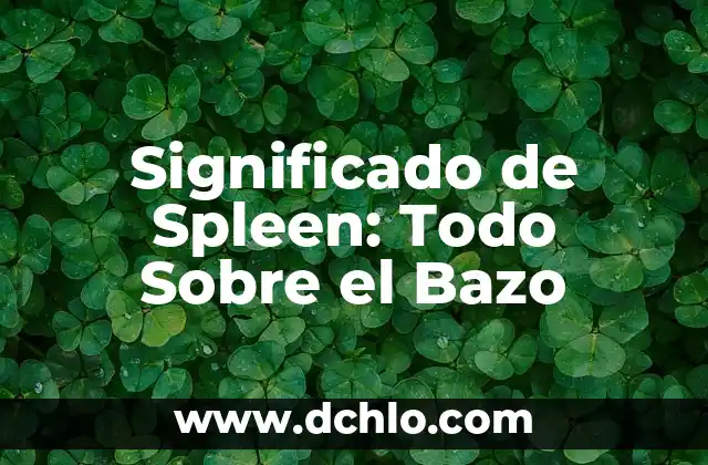 El significado de Adviento: Todo lo que debes conocer 8 Significado de Spleen: Todo Sobre el Bazo