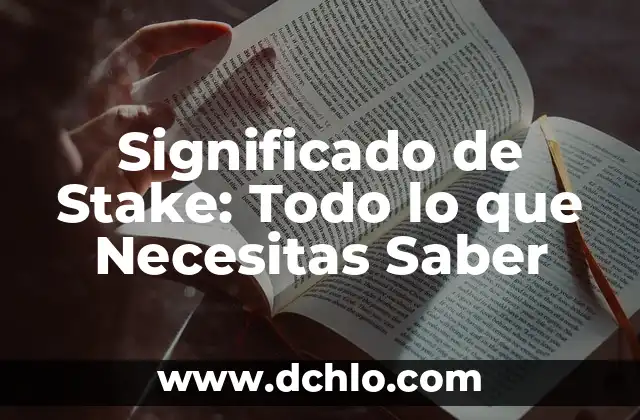 El Significado de Startup: Todo lo que Necesitas Saber 5 Significado de Stake: Todo lo que Necesitas Saber