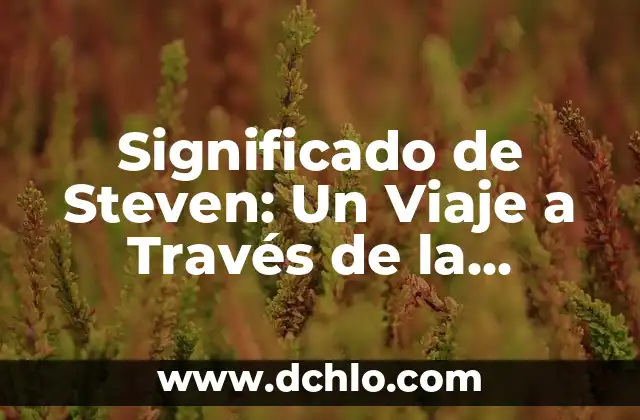 Significado de la Vestimenta de Oaxaca: Un Viaje a Través de su Historia y Cultura 8 Significado de Steven: Un Viaje a Través de la Historia y la Cultura
