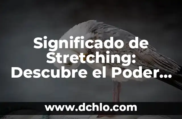 Significado de Tenaz: Descubre el Poder de la Perseverancia 3 Significado de Stretching: Descubre el Poder del Estiramiento