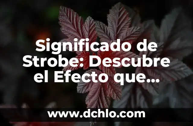 Significado de TMO: Descubre su Verdadero Propósito 4 Significado de Strobe: Descubre el Efecto que Ilumina