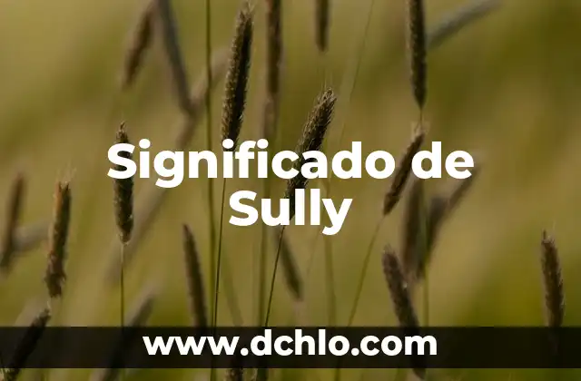 Significado de Suma: Entendiendo el Concepto Básico 5 Significado de Sully